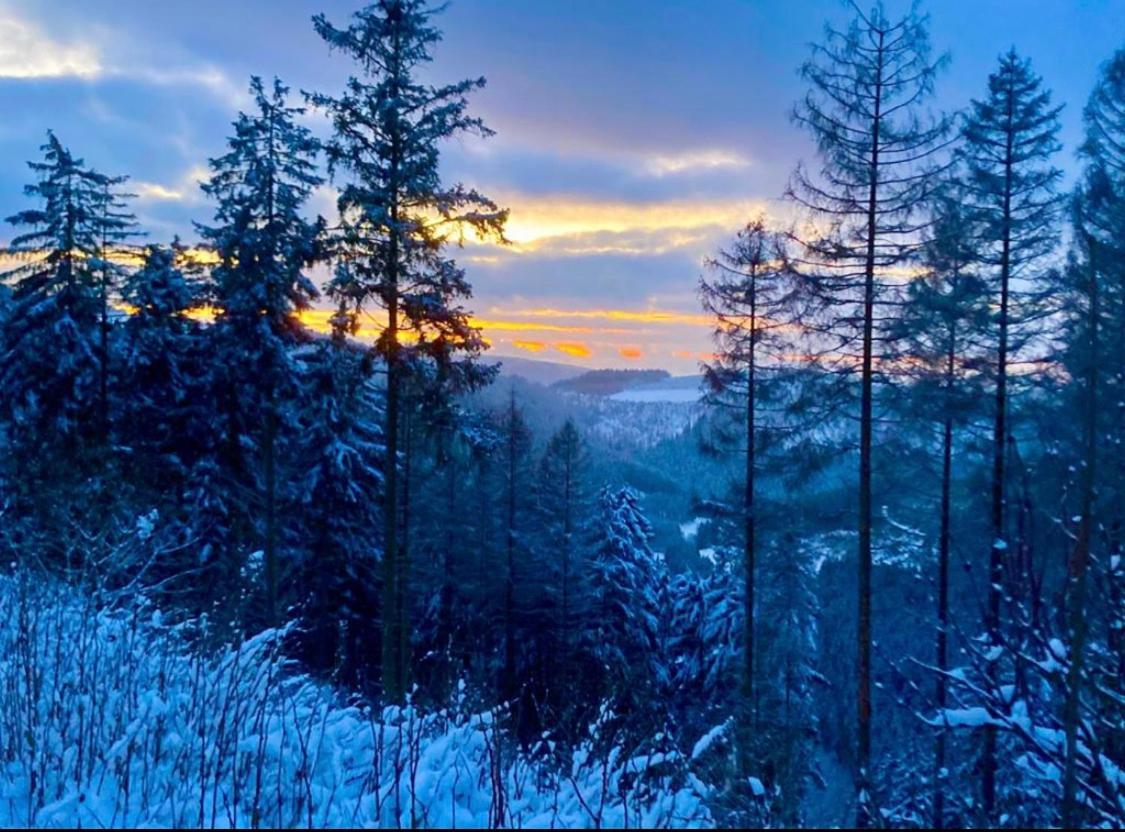 Landhotel Flora & Fauna (Adults Only) Winterberg Exterior foto