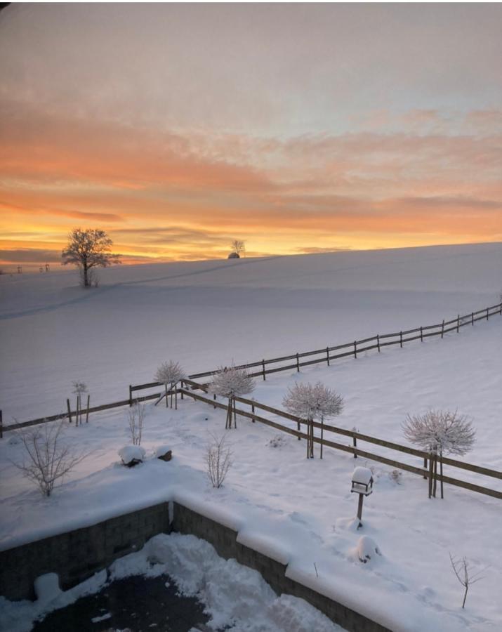Landhotel Flora & Fauna (Adults Only) Winterberg Exterior foto