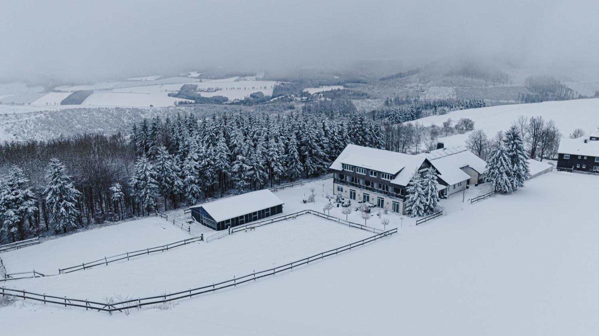 Landhotel Flora & Fauna (Adults Only) Winterberg Exterior foto