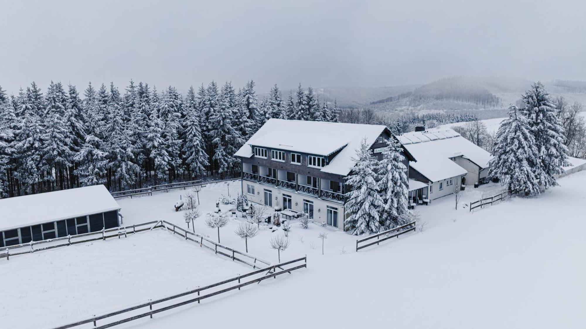 Landhotel Flora & Fauna (Adults Only) Winterberg Exterior foto