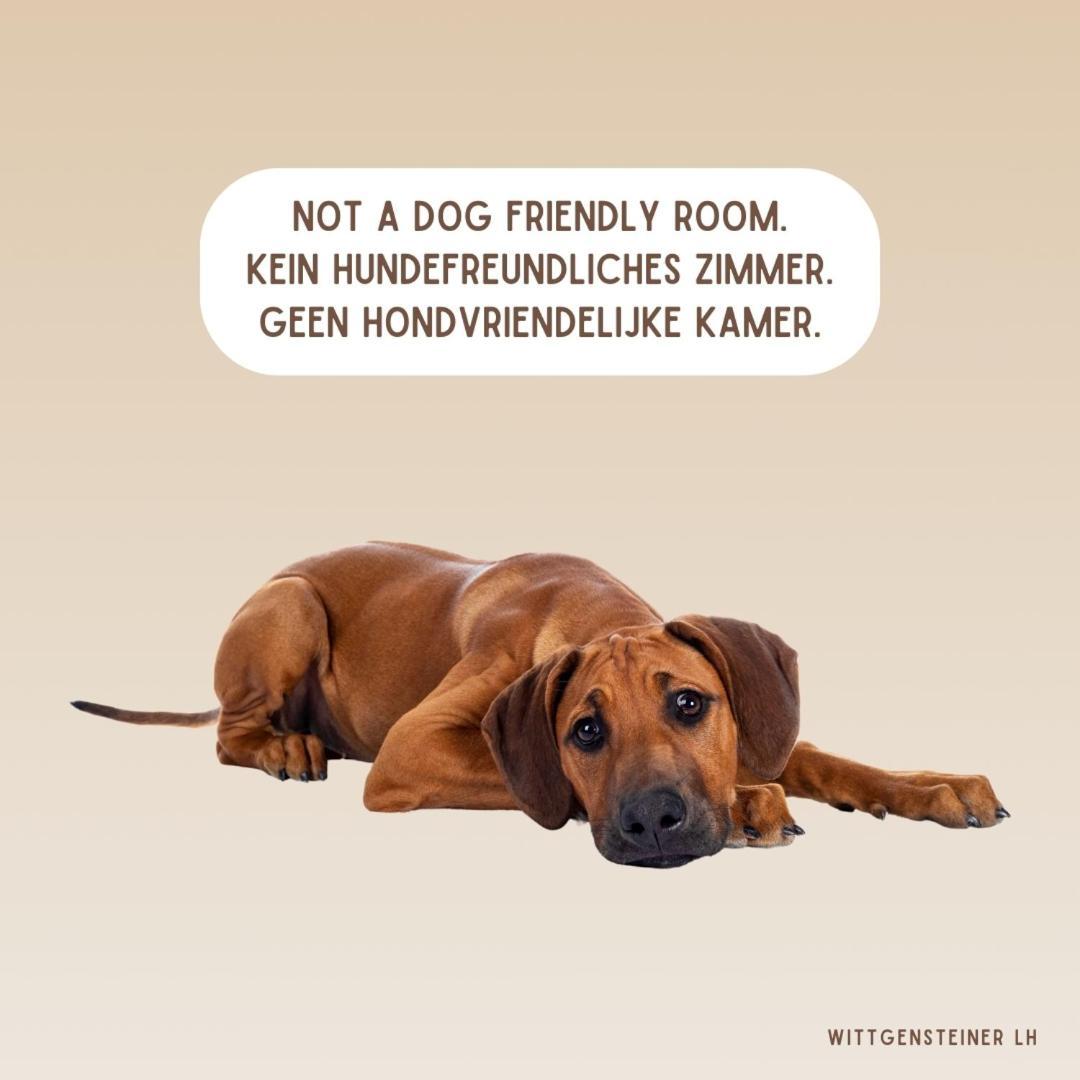 Landhotel Flora & Fauna (Adults Only) Winterberg Habitación foto